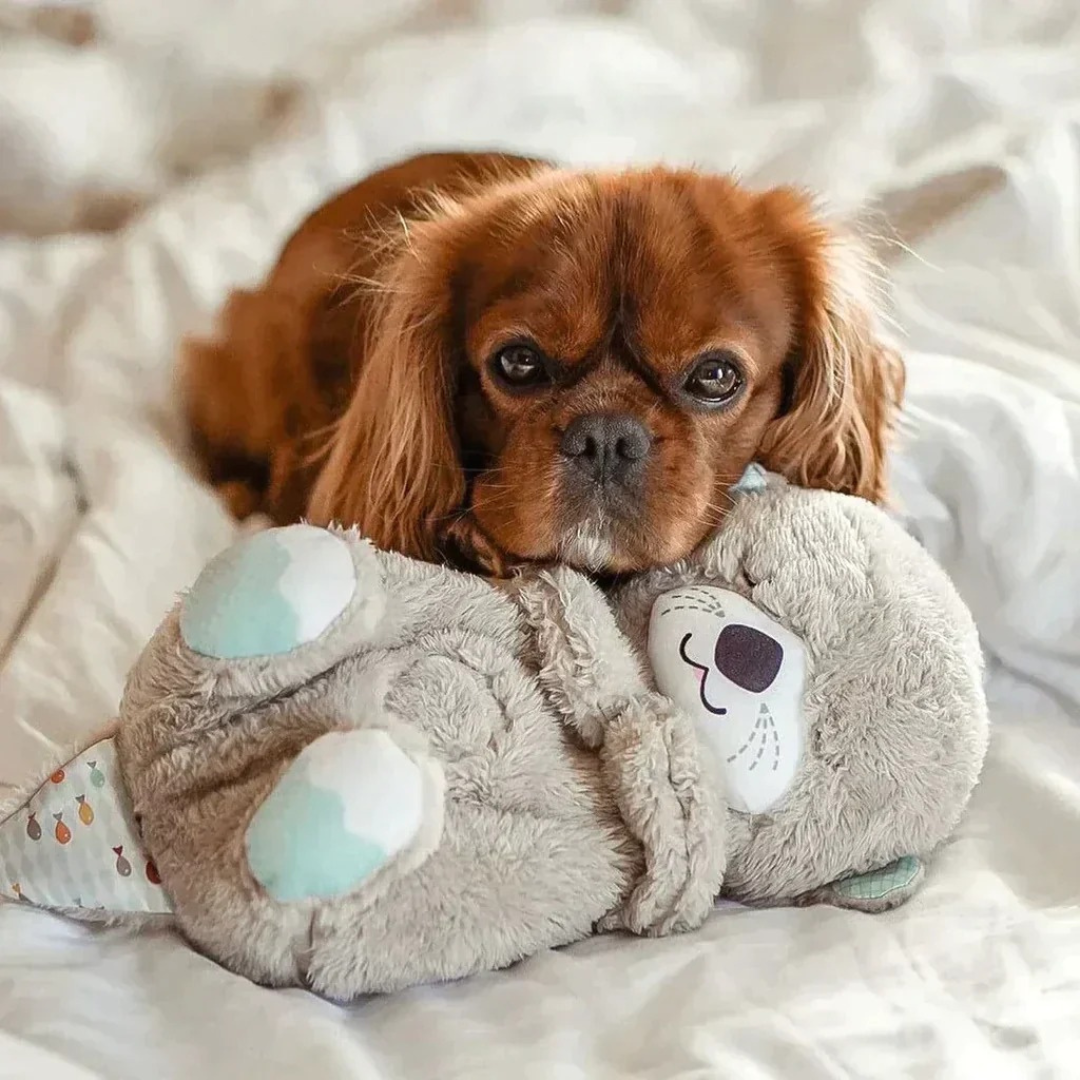 Peluche loutre apaisante